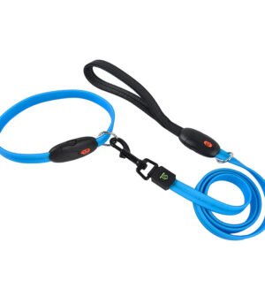 Pet glowing leash and collar