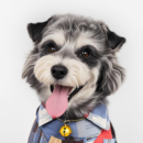 Patchwork Dog Shirt