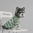 Dog striped polo shirt