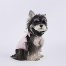 Lacy Dog Harness