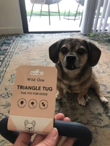 Wild One Triangle Tug photo review