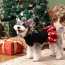 Soft and Cozy Dog Flannel Coat