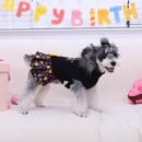 Soft and Cozy Dog Flannel Coat