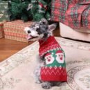Soft and Cozy Dog Flannel Coat