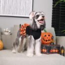Soft and Cozy Dog Flannel Coat