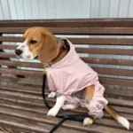 Dog ice - silk sun - protection clothing photo review