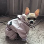 Dog ice - silk sun - protection clothing photo review