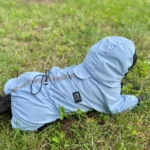 Dog ice - silk sun - protection clothing photo review