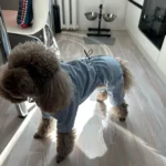 Dog ice - silk sun - protection clothing photo review