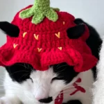 Lion Dance-themed Clothing for Dogs photo review