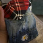 Denim Hooded Sweater for Dogs photo review
