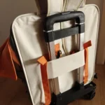 Pet Rolling Suitcase and Double-shoulder Bag photo review