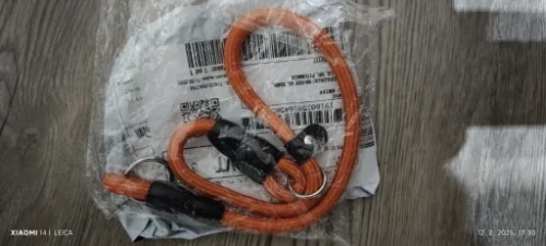 Pet glowing leash and collar photo review