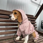 Dog ice - silk sun - protection clothing photo review