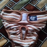 Striped sanitary pants for dogs photo review