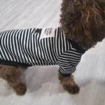 Stripe Tee Rust and Ivory photo review