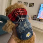 Denim Hooded Sweater for Dogs photo review