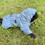 Dog ice - silk sun - protection clothing photo review