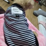 Stripe Tee Rust and Ivory photo review