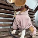 Dog ice - silk sun - protection clothing photo review