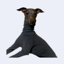 Four-legged Base Layer Clothing for Greyhounds, Whippets