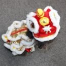 Lion Dance-themed Clothing for Dogs