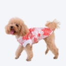 Dog Tang-style costume