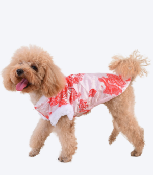 Dog Tang-style costume