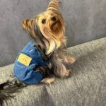 Denim overalls for dogs photo review