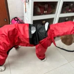 All-inclusive Raincoat for Large Dogs photo review