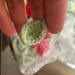 Ins-style Korean hand-woven small flower pet crossbody bag photo review