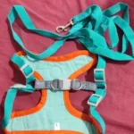 Pet harness, Leash, Collar, Drool bib, Dog clothes, Set photo review