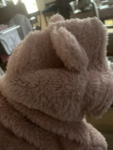 Plush high - necked cotton coat for dogs photo review