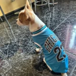 Dog World Cup Vest photo review