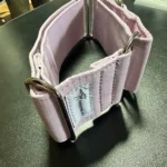 Italian Greyhound Whippet Martingale wide adjustable dog collar patterned cotton collar photo review