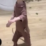 High - necked Warm - keeping Dog Clothes photo review