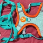 Pet harness, Leash, Collar, Drool bib, Dog clothes, Set photo review