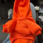 Pet sun-protective baseball cap photo review