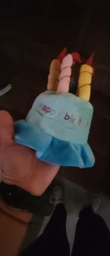 Pet Birthday Hat photo review