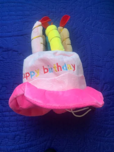 Pet Birthday Hat photo review