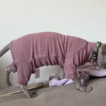 High - necked Warm - keeping Dog Clothes photo review