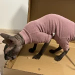 High - necked Warm - keeping Dog Clothes photo review