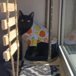 Ins-style dog sunflower Shirt and suspender skirt photo review