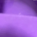 High - necked Warm - keeping Dog Clothes photo review