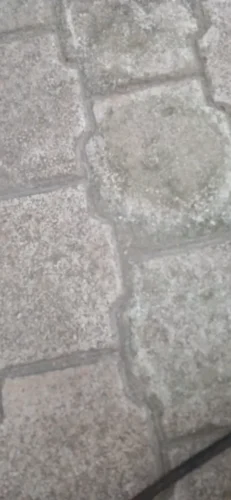 Pet harness, Leash, Collar, Drool bib, Dog clothes, Set photo review