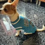 Dog World Cup Vest photo review