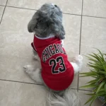 Dog World Cup Vest photo review