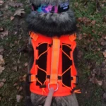 Pet harness, Leash, Collar, Drool bib, Dog clothes, Set photo review