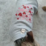 Spring Dog Fashion Shirts photo review