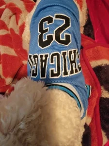 Dog World Cup Vest photo review